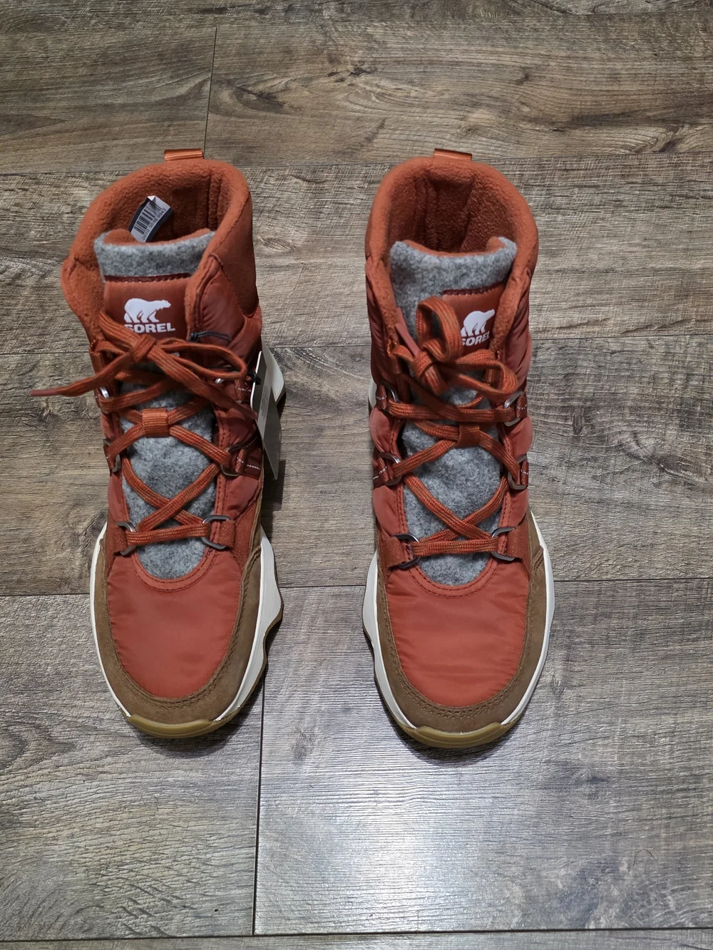 Sorel new kinetic